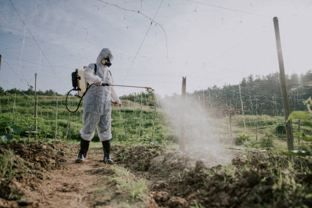 Best Mosquito Control Services  in Vinita, OK