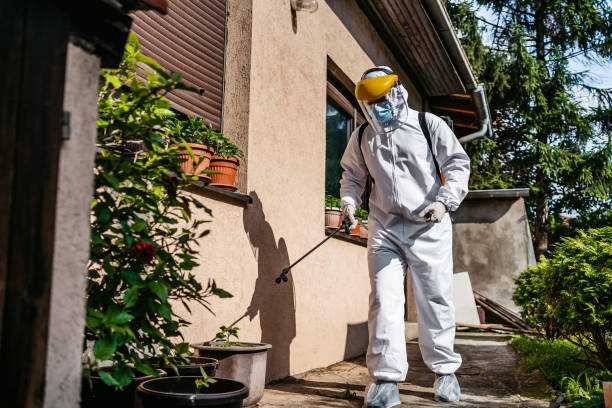 Best Pest Removal Services  in Vinita, OK