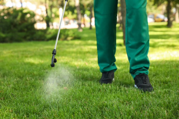 Best Pest Control Near Me  in Vinita, OK