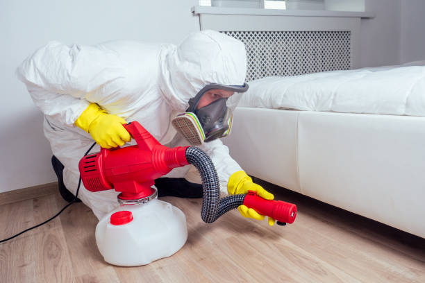 Best Wasp Removal Services  in Vinita, OK