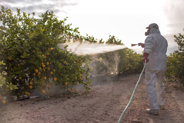Best Bed Bug Extermination  in Vinita, OK