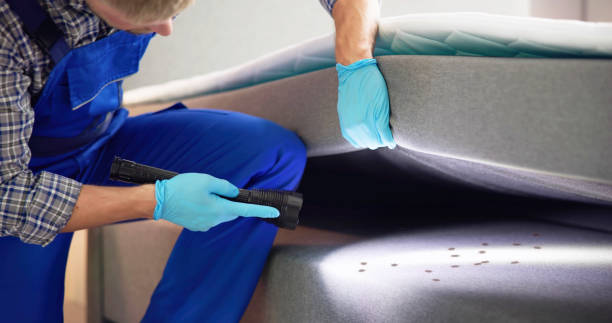 Reliable Vinita, OK Pest Control Solutions
