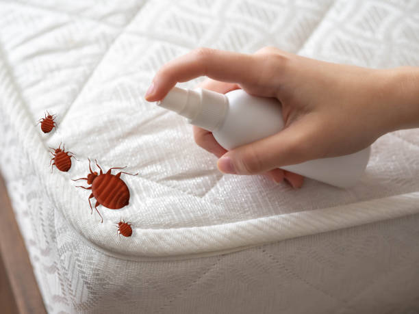 Best Commercial Pest Control Services  in Vinita, OK