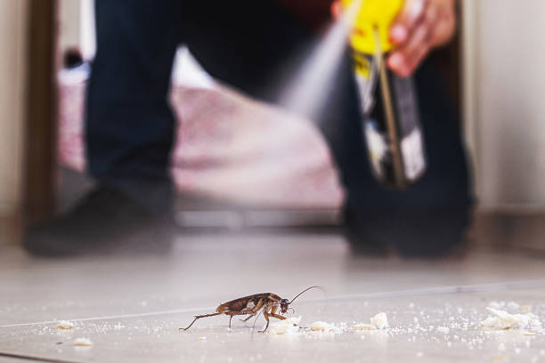 Best Termite Control Services  in Vinita, OK