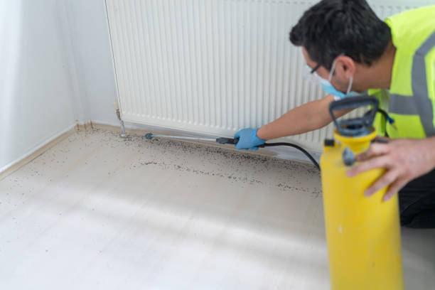 Best Pest Control for Restaurants  in Vinita, OK